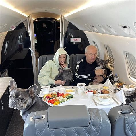 damien hirst private jet.